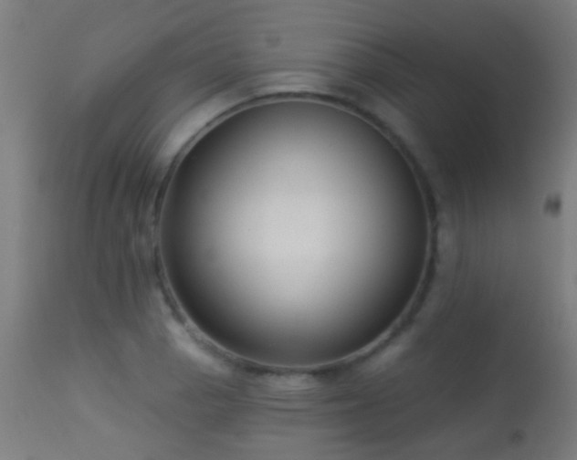 X0000113281129200909211033