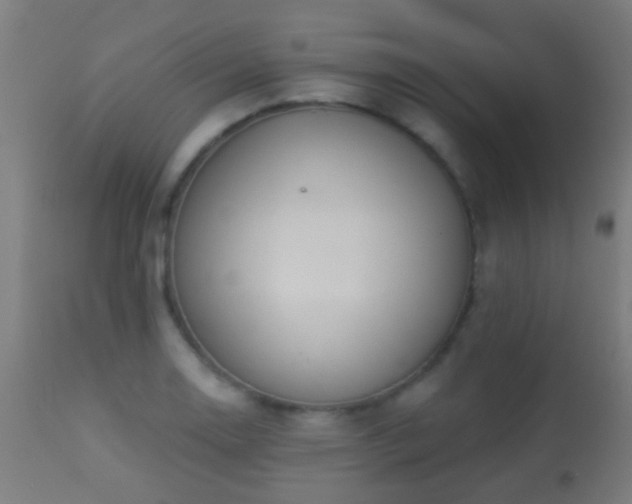 X0000113281130200909211033