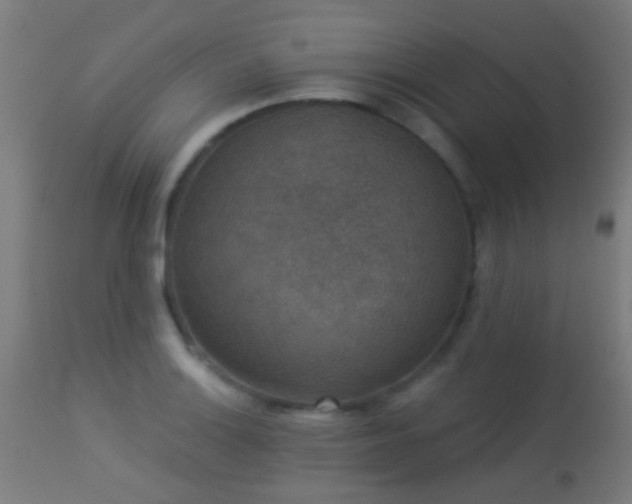 X0000113281132200909211033