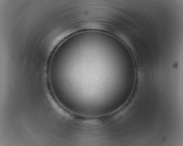 X0000113281133200909211033