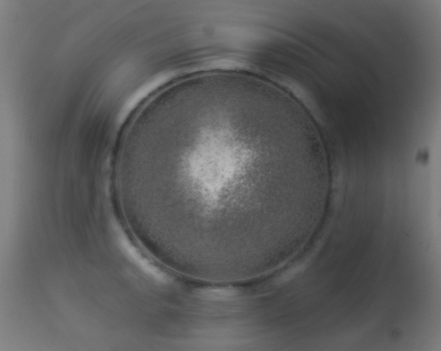 X0000113281134200909211033