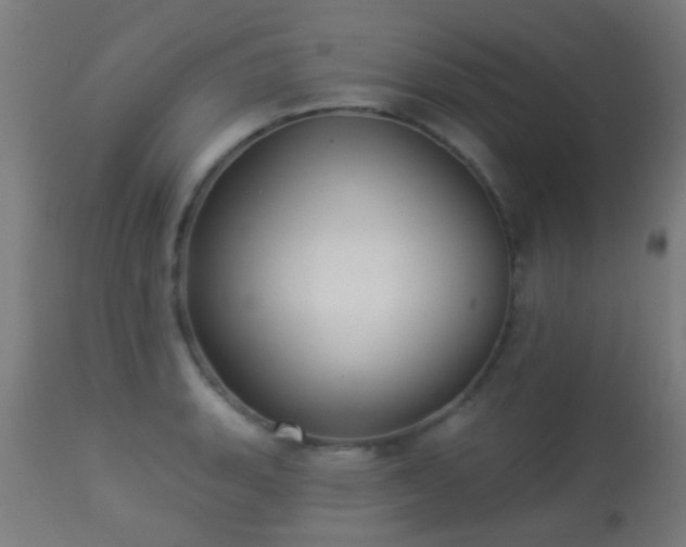 X0000113281135200909211033