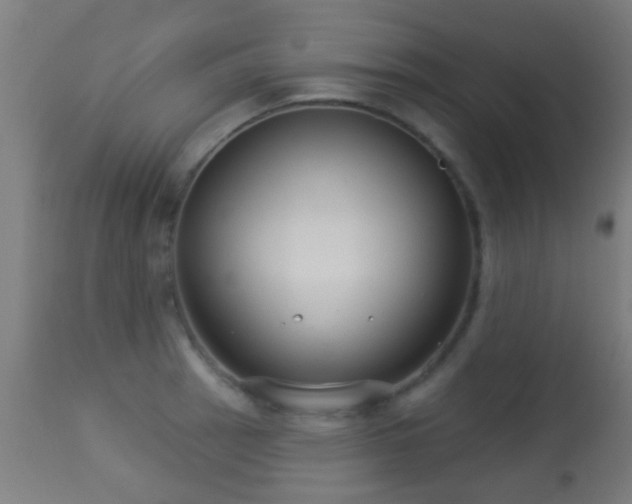 X0000113281137200909211033