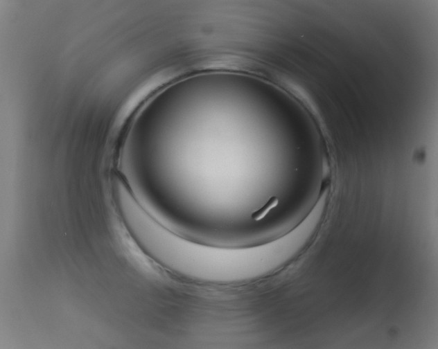 X0000113281138200909211033