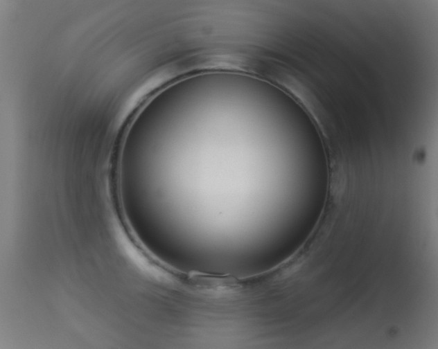 X0000113281139200909211033