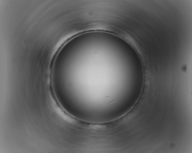 X0000113281140200909211033