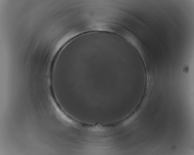 X0000113281141200909211033