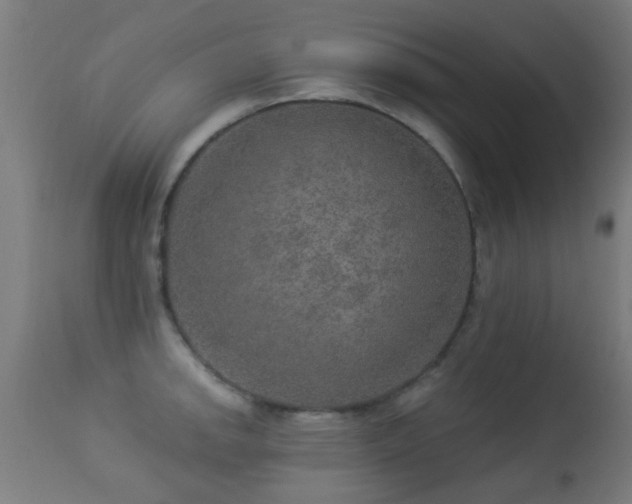 X0000113281142200909211033