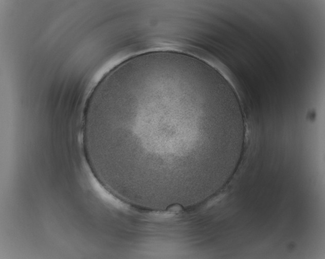 X0000113281143200909211033