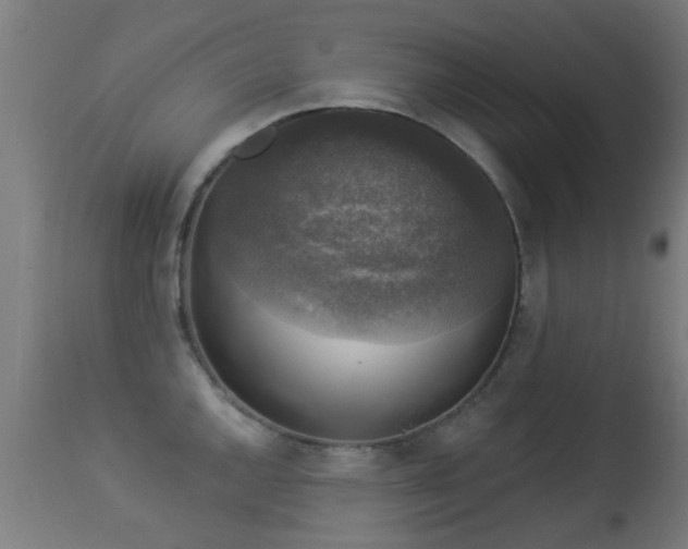 X0000113281144200909211033