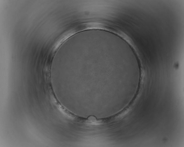 X0000113281145200909211033