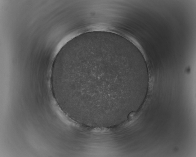 X0000113281146200909211033