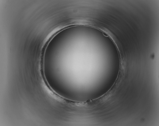 X0000113281147200909211033