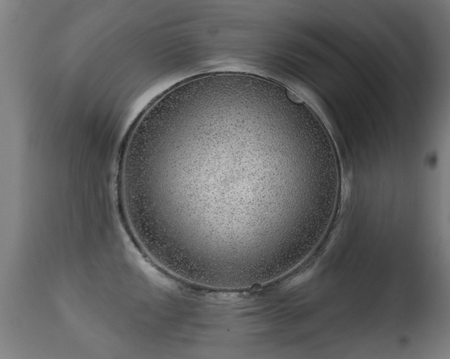 X0000113281149200909211033