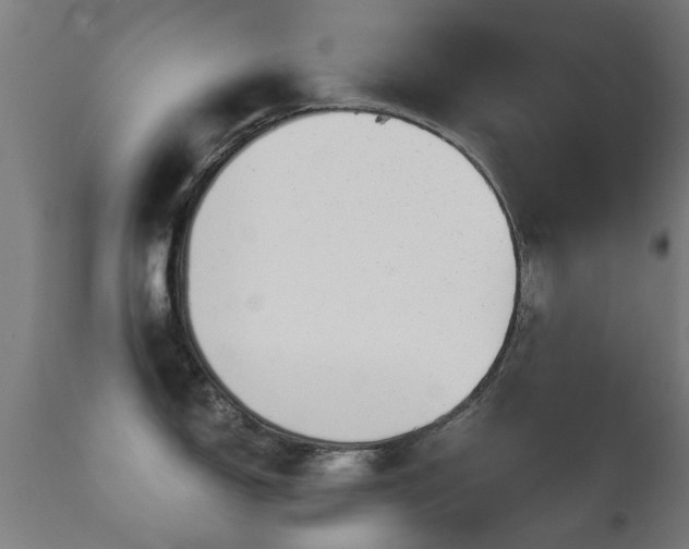 X0000113281150200909211033