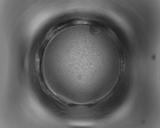 X0000113281151200909211033