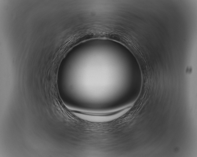 X0000113281153200909211033