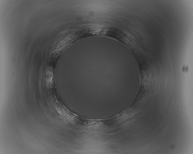 X0000113281154200909211033