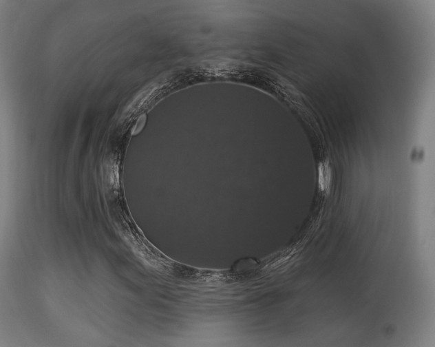 X0000113281155200909211033