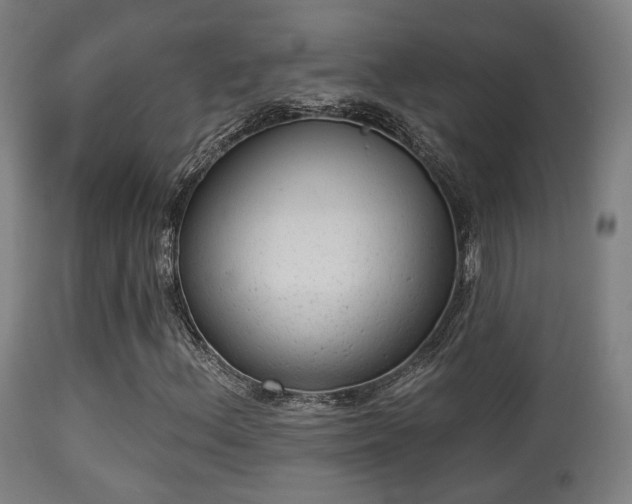 X0000113281156200909211033