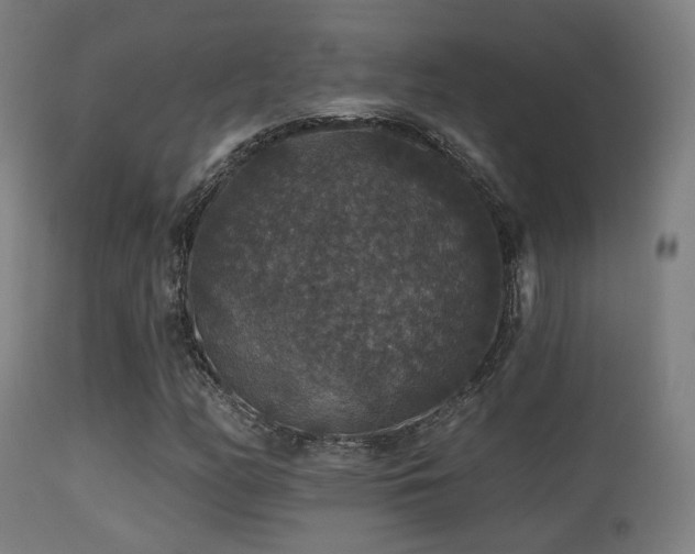 X0000113281158200909211033