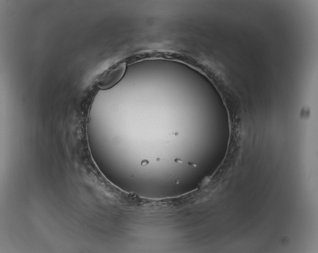 X0000113281159200909211033