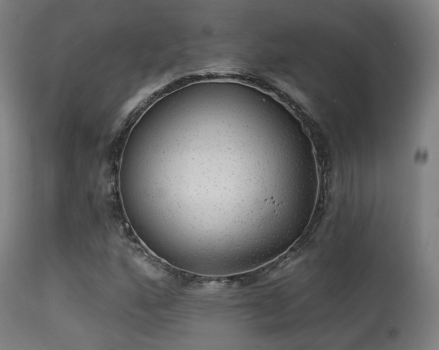 X0000113281160200909211033