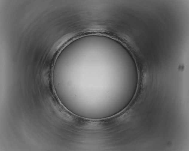 X0000113281162200909211033