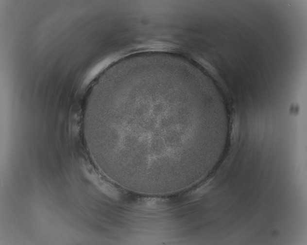 X0000113281163200909211033