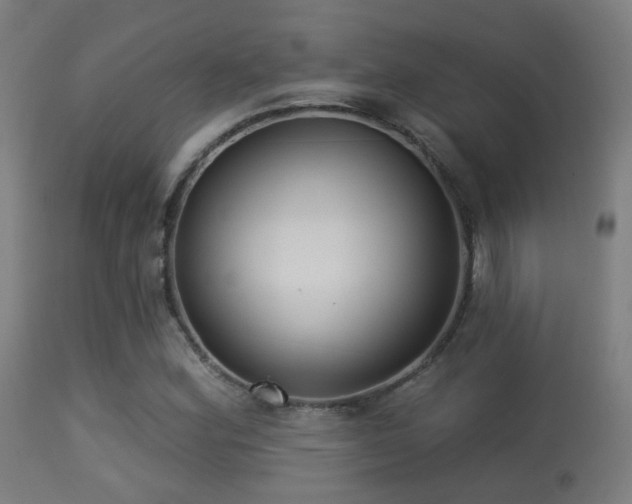 X0000113281164200909211033