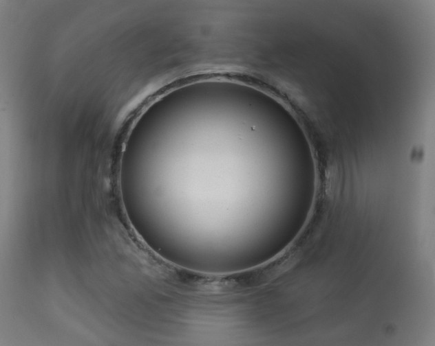 X0000113281165200909211032