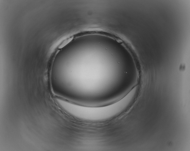 X0000113281167200909211032