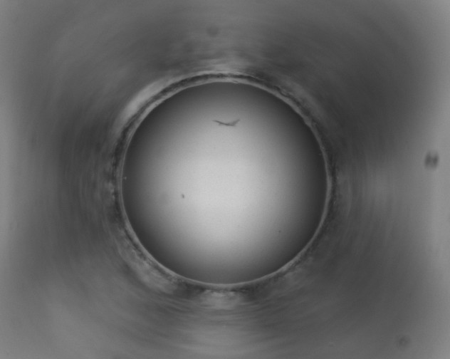 X0000113281168200909211032