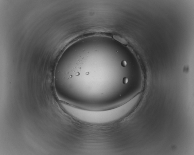 X0000113281169200909211032