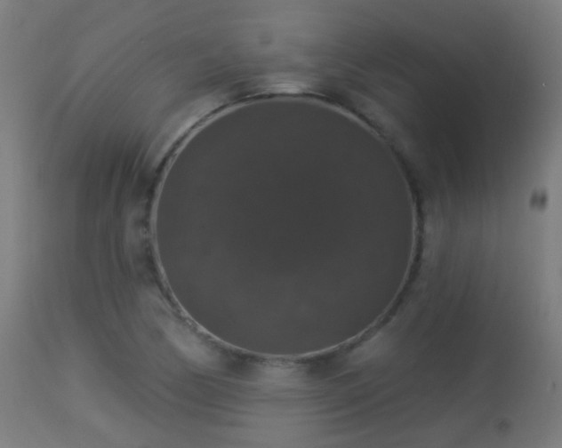 X0000113281170200909211032