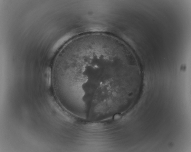 X0000113281171200909211032