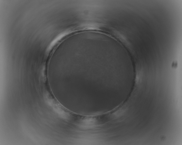 X0000113281174200909211032