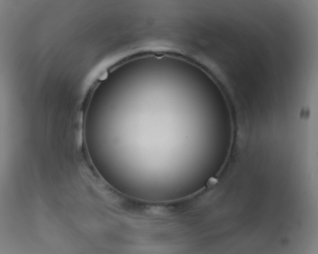 X0000113281175200909211032