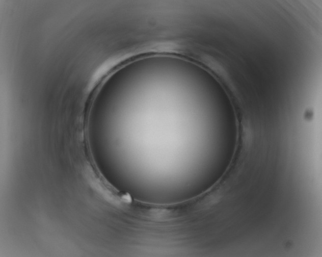 X0000113281176200909211032