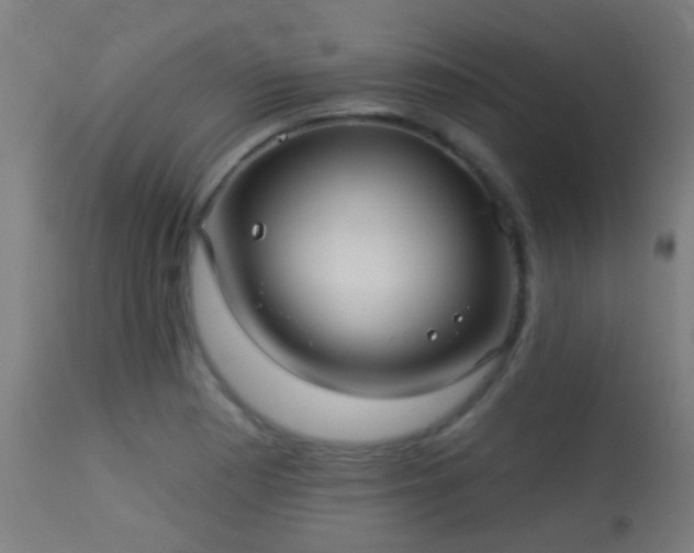 X0000113281177200909211032