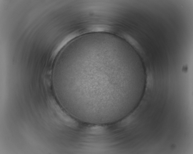 X0000113281178200909211032