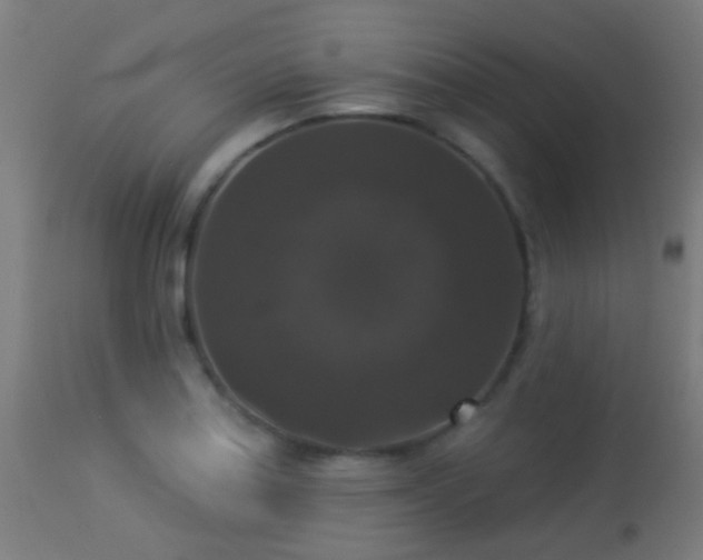 X0000113281179200909211032