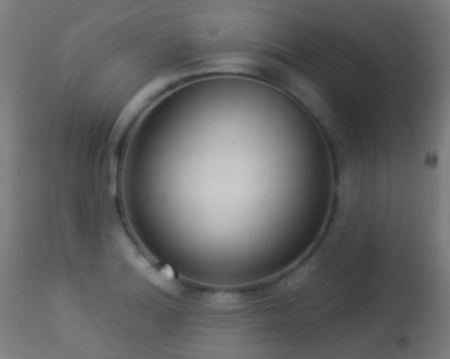 X0000113281180200909211032