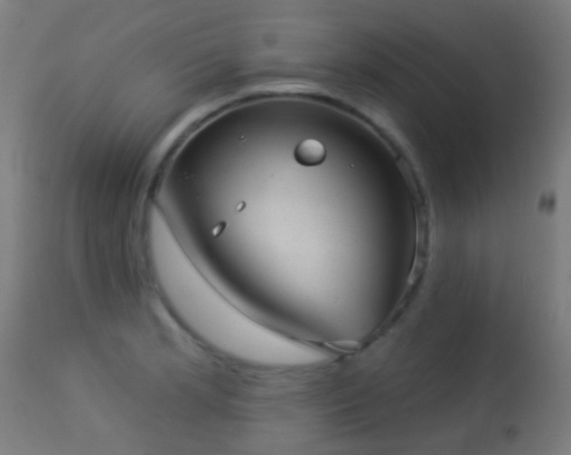 X0000113281181200909211032