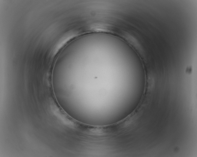 X0000113281182200909211032