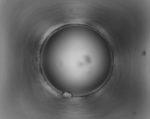 X0000113281184200909211032