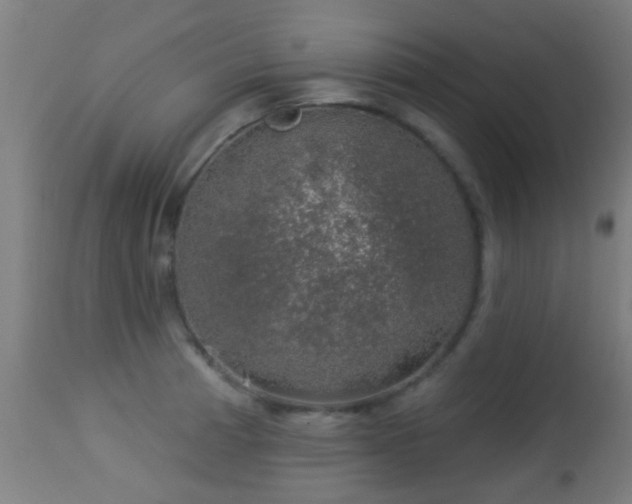 X0000113281185200909211032