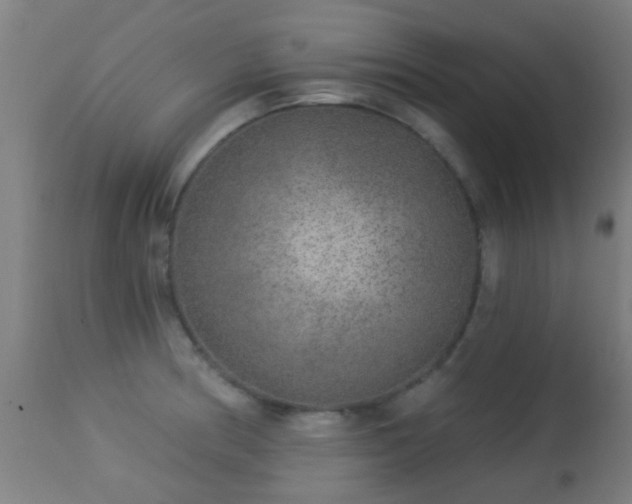 X0000113281186200909211032