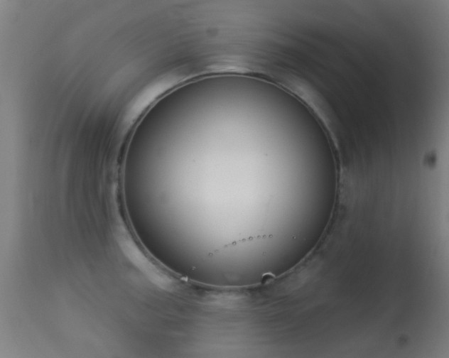 X0000113281187200909211032