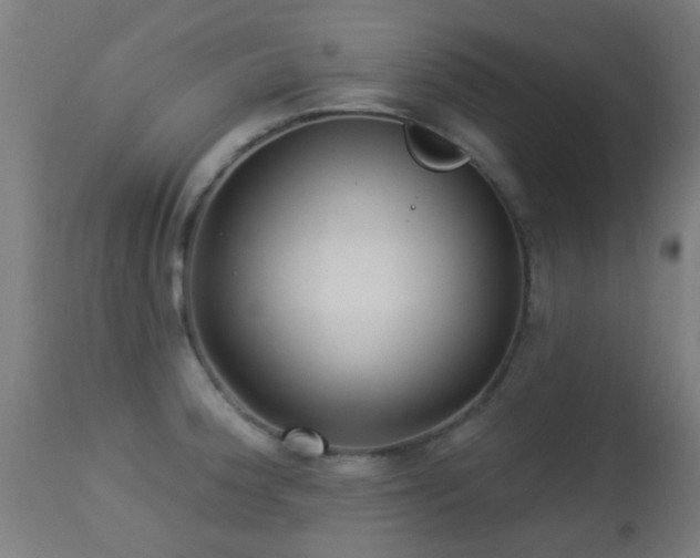 X0000113281188200909211032